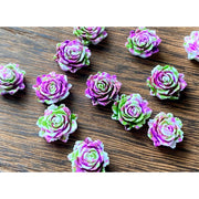 Druzy Earrings -  Mardi Gras Succulents (Bigs only)